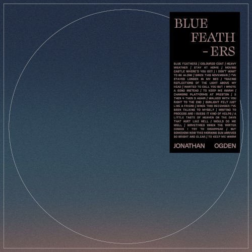 Blue Feathers