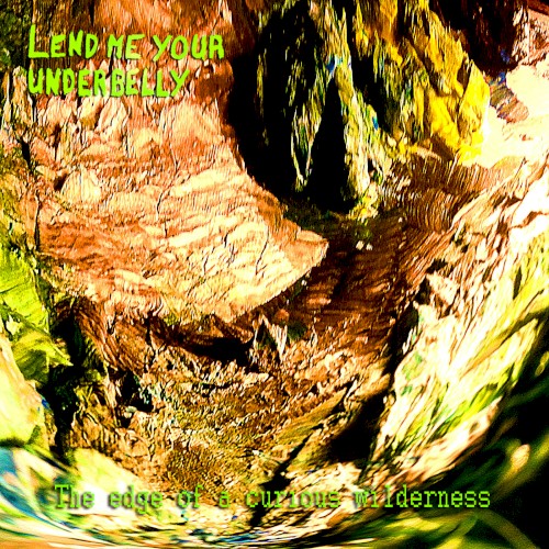 The Edge of a Curious Wilderness
