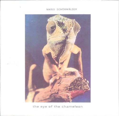 The Eye of the Chameleon