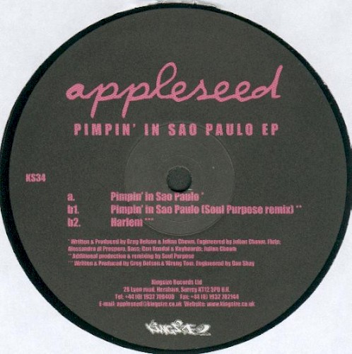 Pimpin' In Sao Paulo EP