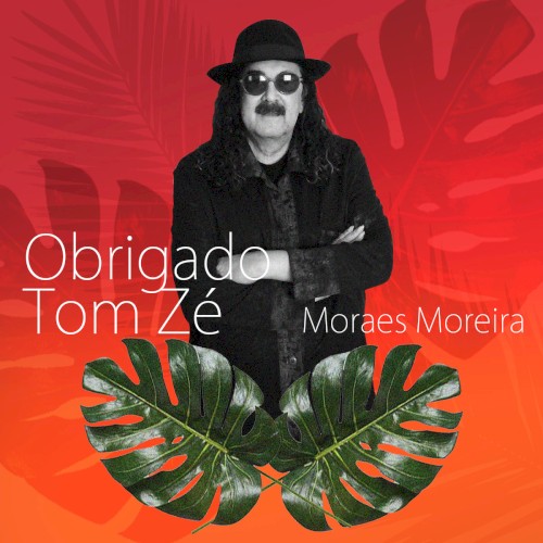 Obrigado Tom Zé