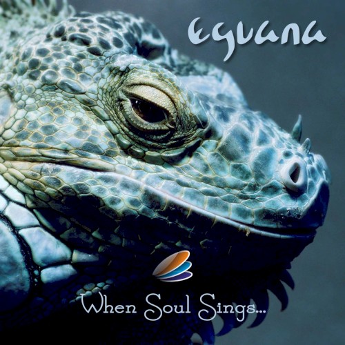 When Soul Sings...