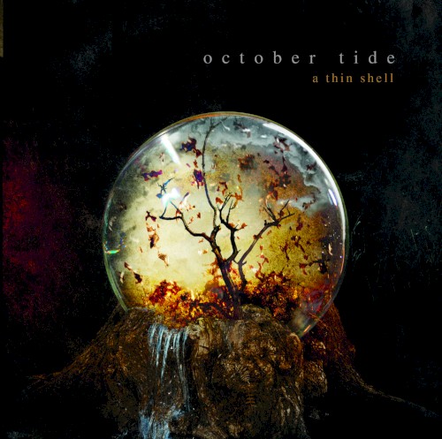 A Thin Shell