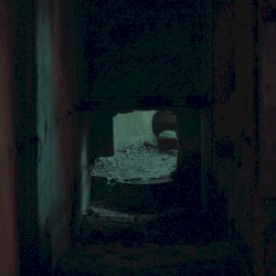 Tunnel Vision