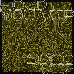 Hold You VIP / Sono VIP