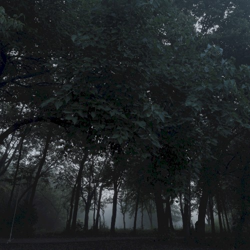 nothing is real, part XVI