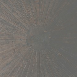 Selva oscura