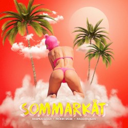 SOMMARKÅT