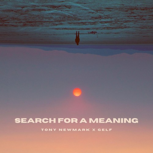 Search for a Meaning