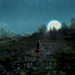 444/Ms. Moon