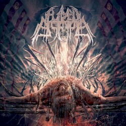 Flayed Disciple