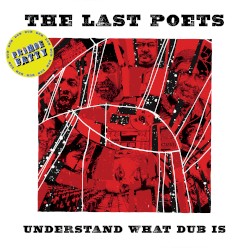 Understand What Dub Is