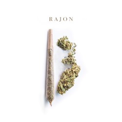 Rajon 13