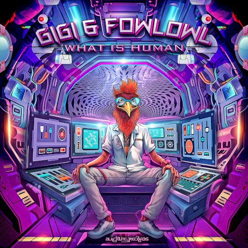 What is Human