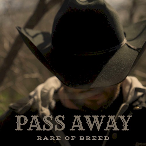 Pass Away - Single