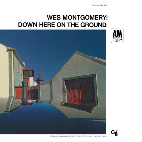 Down Here on the Ground