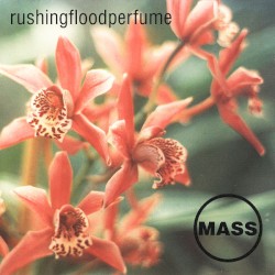 Rushingfloodperfume