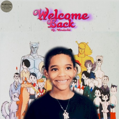 Welcome Back Mr.Wonderful