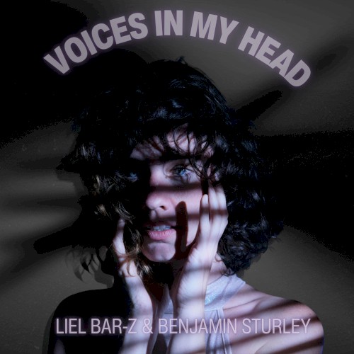 Voices in my Head