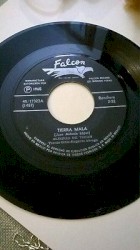 Tierra mala / El gato