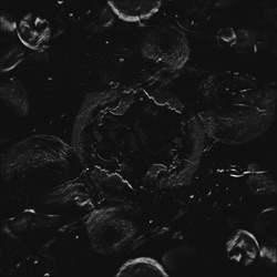Drama North / Drama North (Need for Mirrors remix)