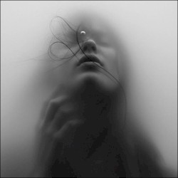 Sinking Into a Dream