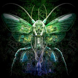 Super‐Organism