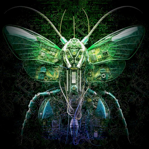 Super‐Organism