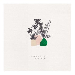 Every High (The Remixes)
