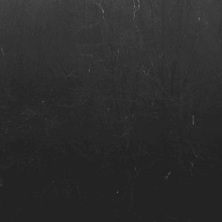The Harrowing Hollow