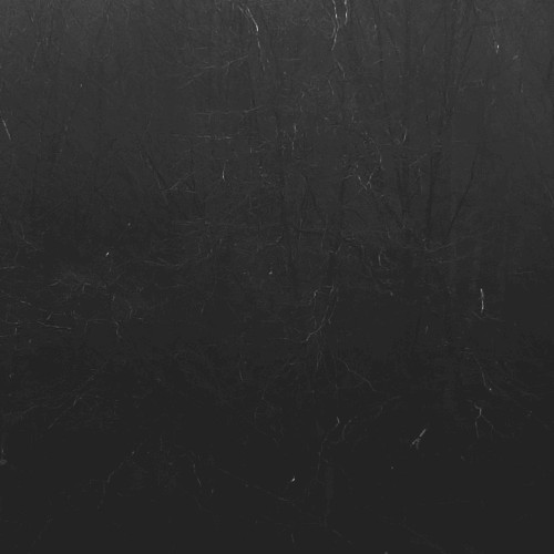 The Harrowing Hollow