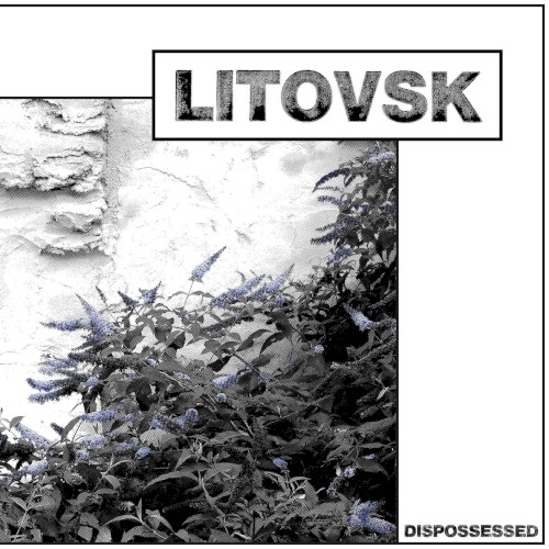 Dispossessed