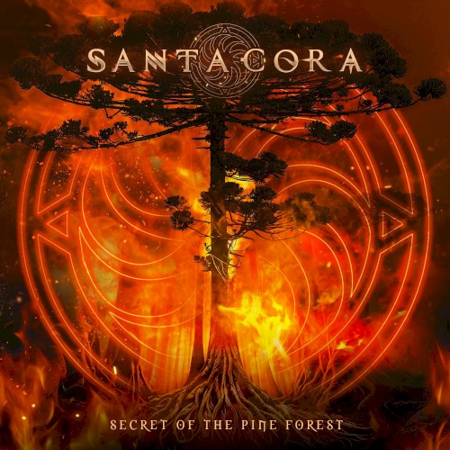 Secret of the Pine Forest