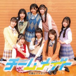チームメイト