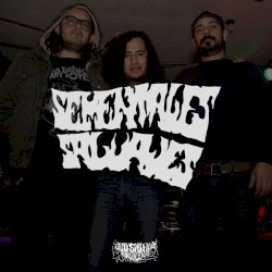 Live Bootleg