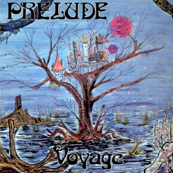 Voyage