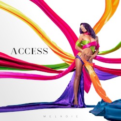 Access