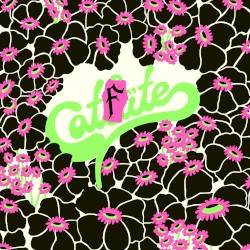 CATFITE