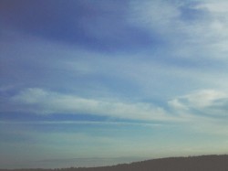 your warm shine.