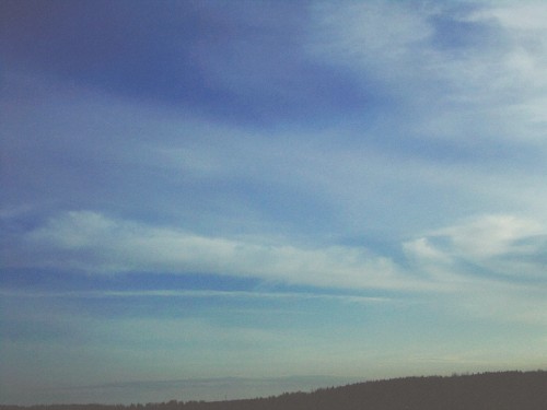 your warm shine.