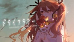 ドライフラワー