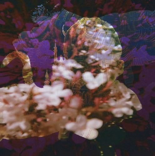 Lost in the Vortex