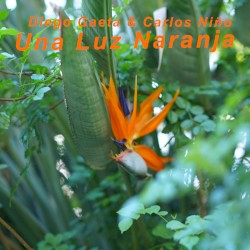 Una Luz Naranja