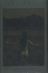 Sunken Meadow