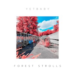 Forest strolls