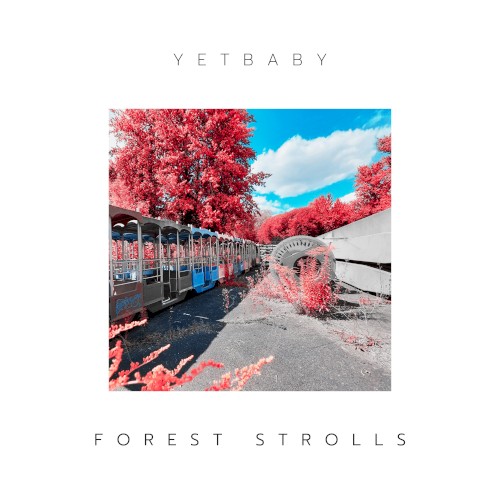 Forest strolls