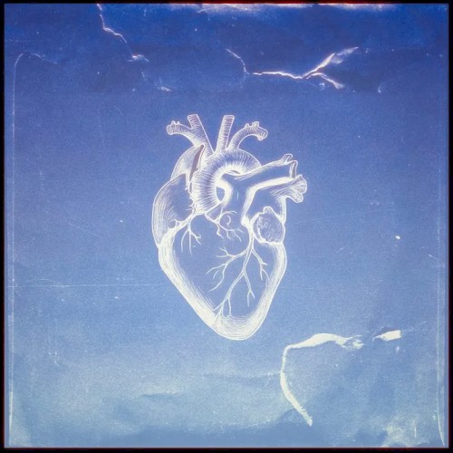Heart Beat