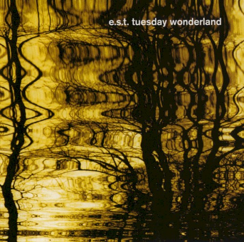 Tuesday Wonderland