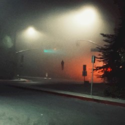 vacant lonely world