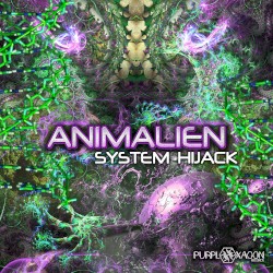 System Hijack